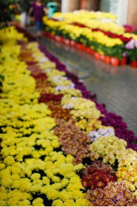 Devanta Blumenlieferung
