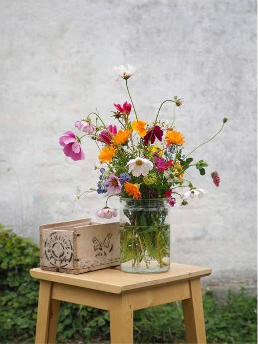 Frische Blumen bei Devanta