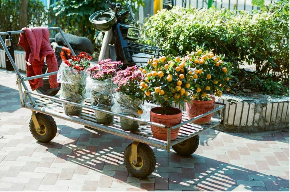 Same-Day Lieferung Blumen deutschlandweit