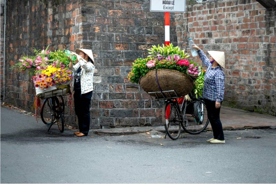 Nachhaltige Blumen ohne Plastik — hero