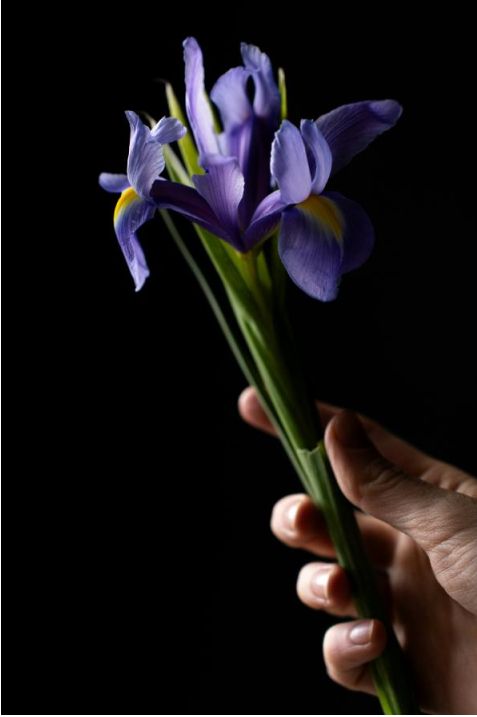 Wildblumen Bouquet